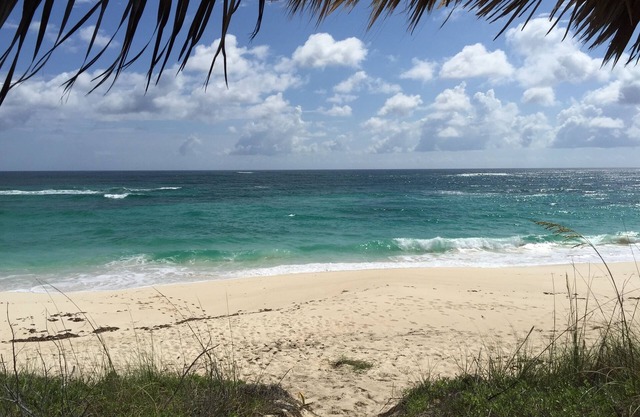 Condo w/Views, Beach, Htd Pool, Pickleball, Golf Cart, Gym,Walk to Restaurant