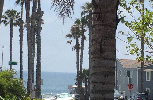 Cool Urban Beach Pad~Steps to Surf~Ocean View from Patio