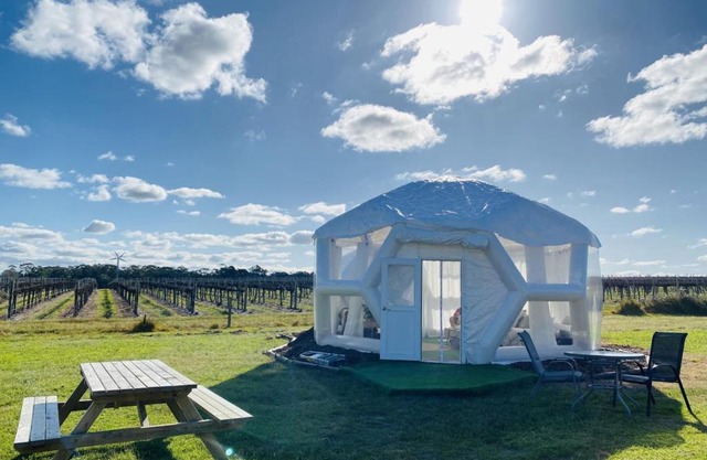 Coonawarra Hampton Bubble 1