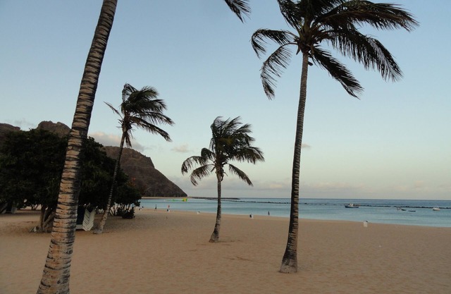 Coral Mar, beautiful apartment, ground floor with nice terrace, calm, swimming pool, sea at 200m
