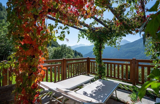 Cosy apartment for 4 people with WIFI, TV and pets allowed