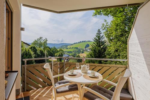 Cosy Apartment im Wanderparadies Balkon mit Traumblick Sauna im Haus Tiefgarage E-Ladestation