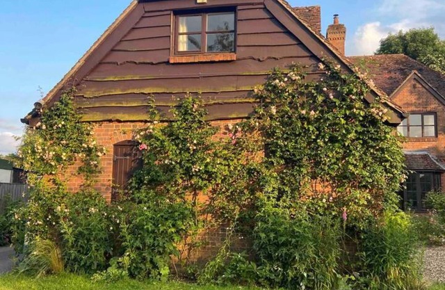 Cosy Rural Retreat, Sleeps 3 & Petfriendly