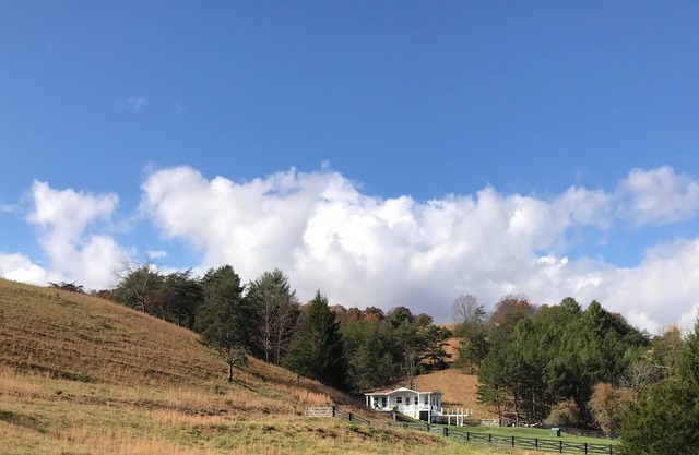Cottage, Pool, 300 Acres of Blue Ridge Mountains.