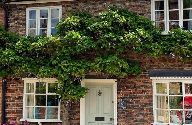 Cottage-Private Bathroom-Ivy - Self Catering