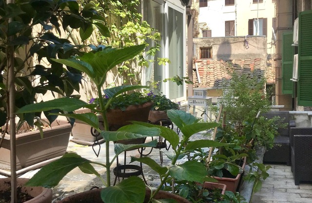 Count Checco. A heaven in the rooftops of Rome few steps away from the pantheon