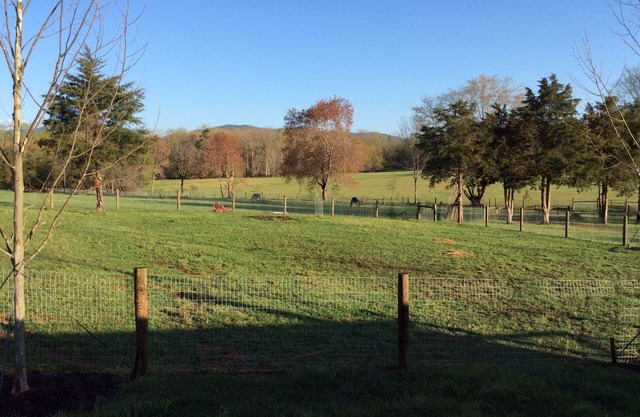 Country Bungalow close to Charlottesville, Wineries & Breweries