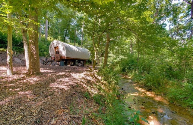 Covered Wagon Camping along Creek, Sleeps 4