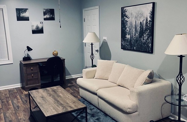 Cozy 1 bedroom 1 bathroom apartment on the outskirts of Lynchburg VA!