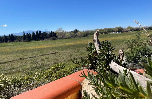 Cozy 1BR Apartment Near Beach, Sleeps 4, Terrace, Private Parking, Pet-Friendly