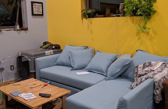Cozy 720 square home in the heart of Black Mountain