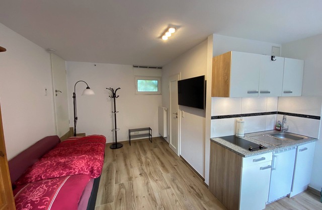 Cozy and comfortable studio in Frankfurt