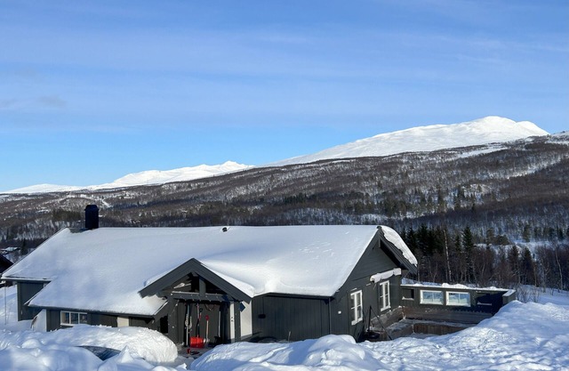 Cozy and modern cabin with fantastic views of Stugusjøen and Sylan