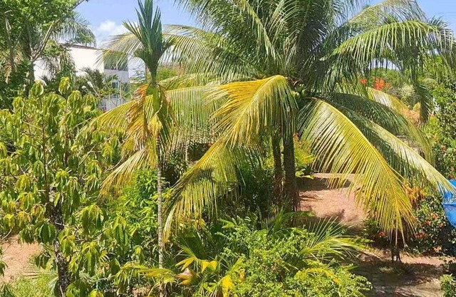 Cozy apartment near the beach of Taquary Pinhal Guaibim Valença oasis of peace