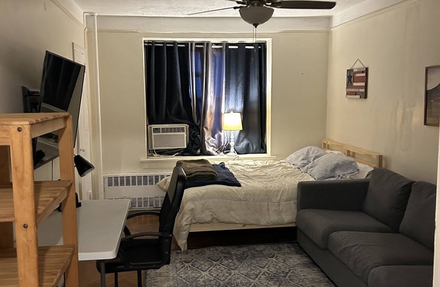 Cozy Apartment on West 85th St