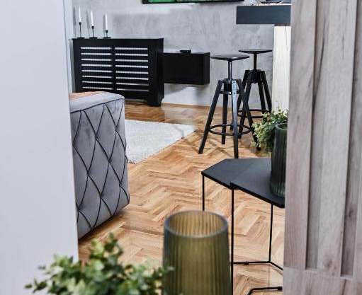 Cozy Apartment Plus