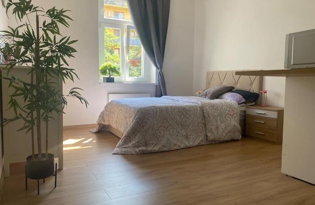 Cozy Apt near Prague Castle