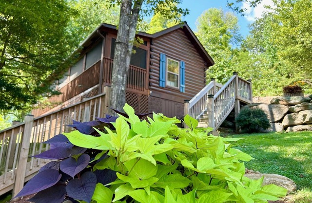 Cozy Blue Skies Cabin - walk to Chimney Rock & Lake Lure