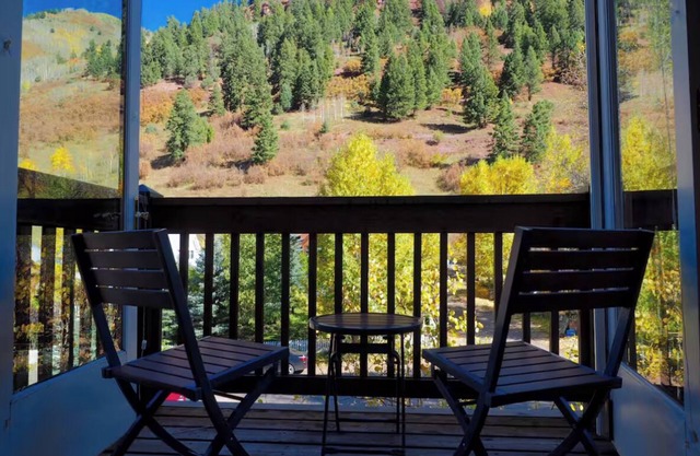 Cozy, Bright 1-BR Condo in Telluride