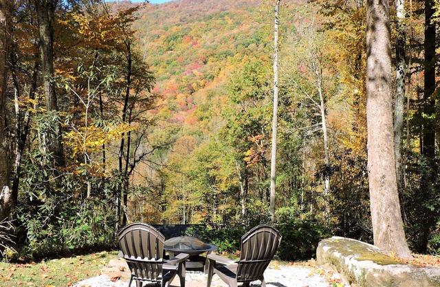 Cozy cabin, mountain view & Wi-fi, Leavers available Oct 13-16 & Oct 26-Nov 10