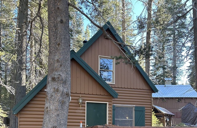 Cozy cabin—mountain getaway!