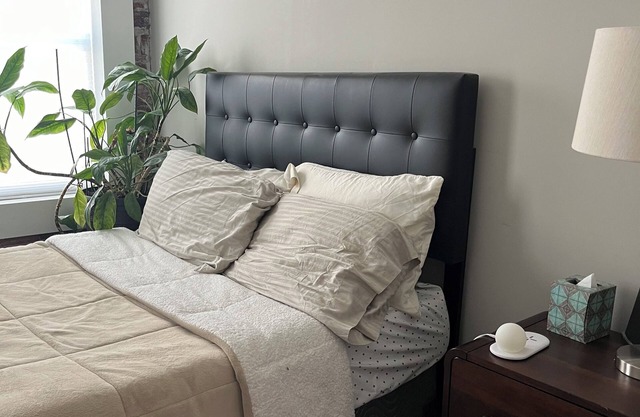 Cozy condo in downtown Omaha.