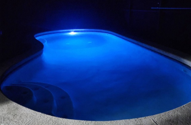 Cozy house. 3BR/2BA Pool and space for the whole Family. close to all the action
