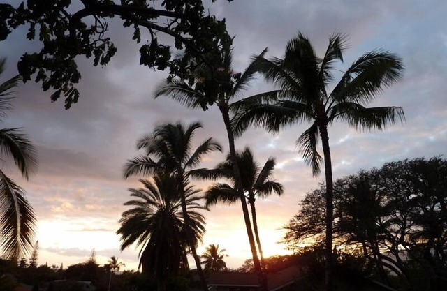 Cozy Maui 'Treehouse' with lovely views and amenities