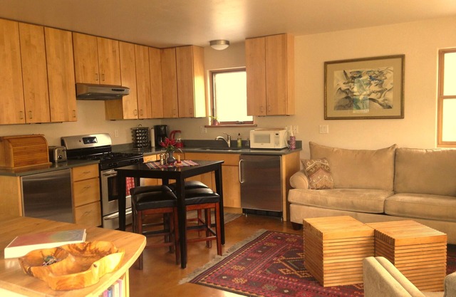 Cozy Modern Apartment ~ walking distance to Carbondale's restaurants/bars/sights