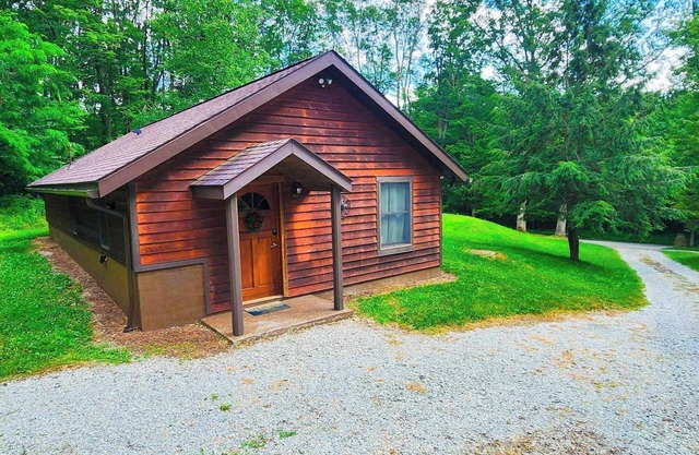 Cozy Mountain Cabin~ Seven Springs!