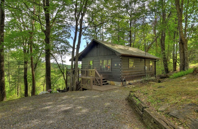 Cozy Mountain indulges pets amidst scenic vistas, featuring a hot tub, gas fire pit, and seamless WiFi connectivity