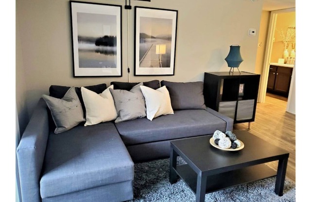 Cozy One Bedroom, Washer Dryer, Central Location, Fireplace, Monthly Discounts