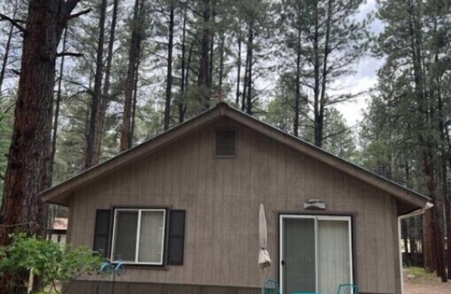 Cozy retreat in the pine trees seconds to the river & couple of minutes to Vallecito Lake and a beautiful drive to Durango