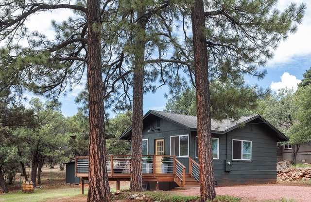 Cozy Romantic Cabin in Pine, AZ