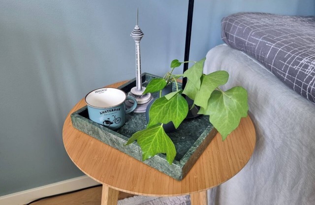 Cozy Room Close to the City Center
