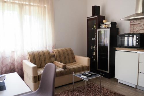 Cozy spacious apartment