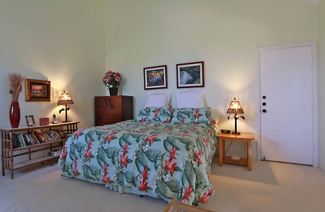 Cozy, Well-Furnished Studio
