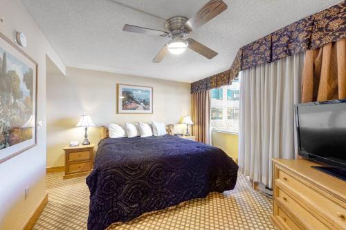 Crested Butte's Dream Studio GL270