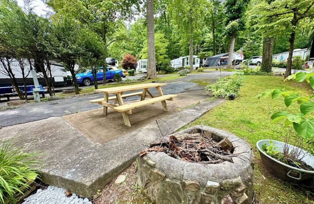 Crofty Bear - RV Campsite in Gatlinburg - Free WiFi & Full Hookups in RV Resort