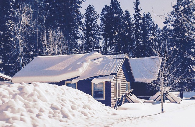 Croll Cabins-Price Bunkhouse - #4 at Vallecito Lake
