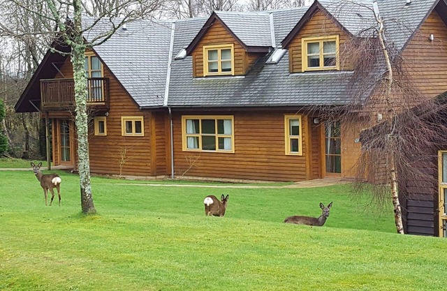 Culzean Diamond Lodge with hot tub and sauna