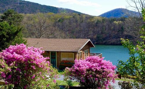 Cute And Comfy Cabin