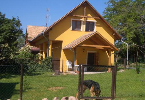 Czanadomb apartman