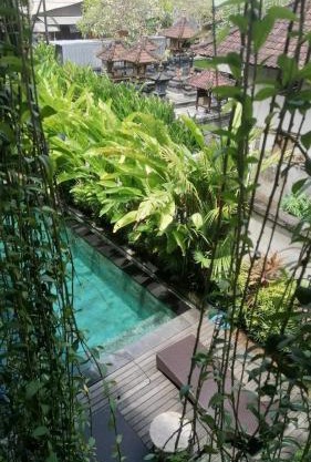 D'tegal Guest House-Tropical Stay with Hanging Plants & Pool in Canggu
