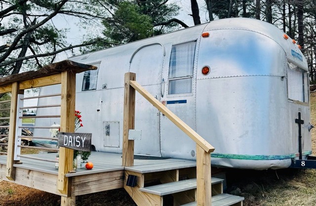 Daisy - Green Acres Resort