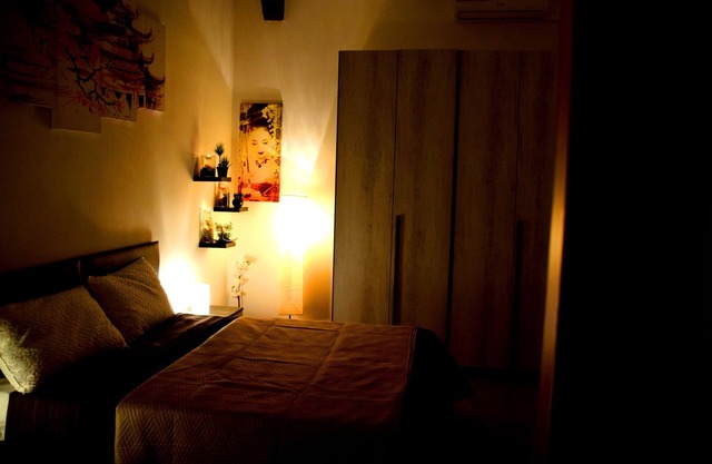 David's and Family apartment - CIN IT058120B4C9JFKCQ3