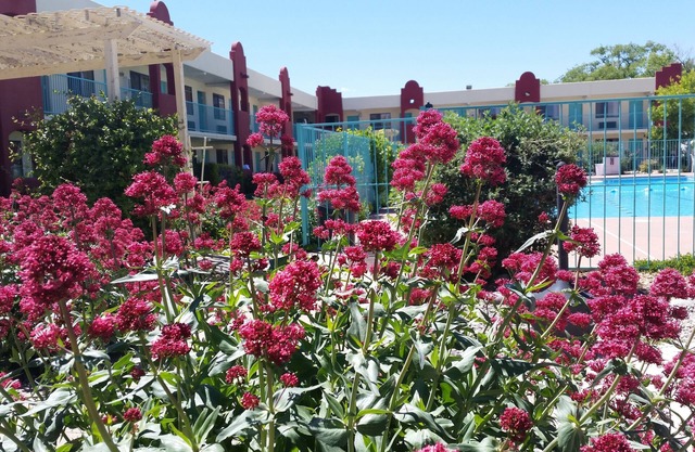 Days Inn by Wyndham Santa Fe New Mexico