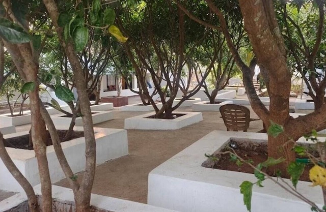 Deers Eco Home Resort