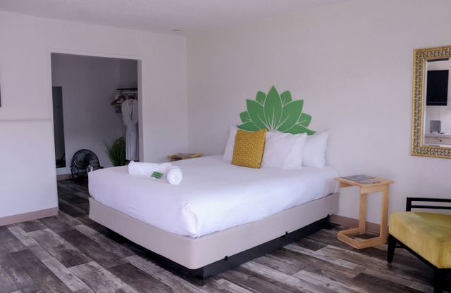 DELUXE KING PET FRIENDLY -SLEEPS 2 - NON-SMOKING