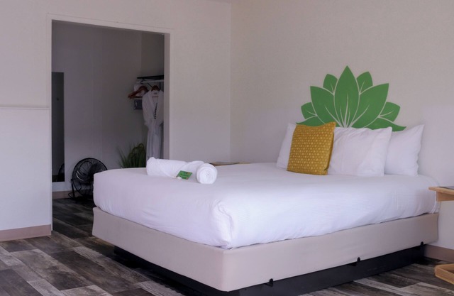 DELUXE KING - SLEEPS 2 - NON-SMOKING